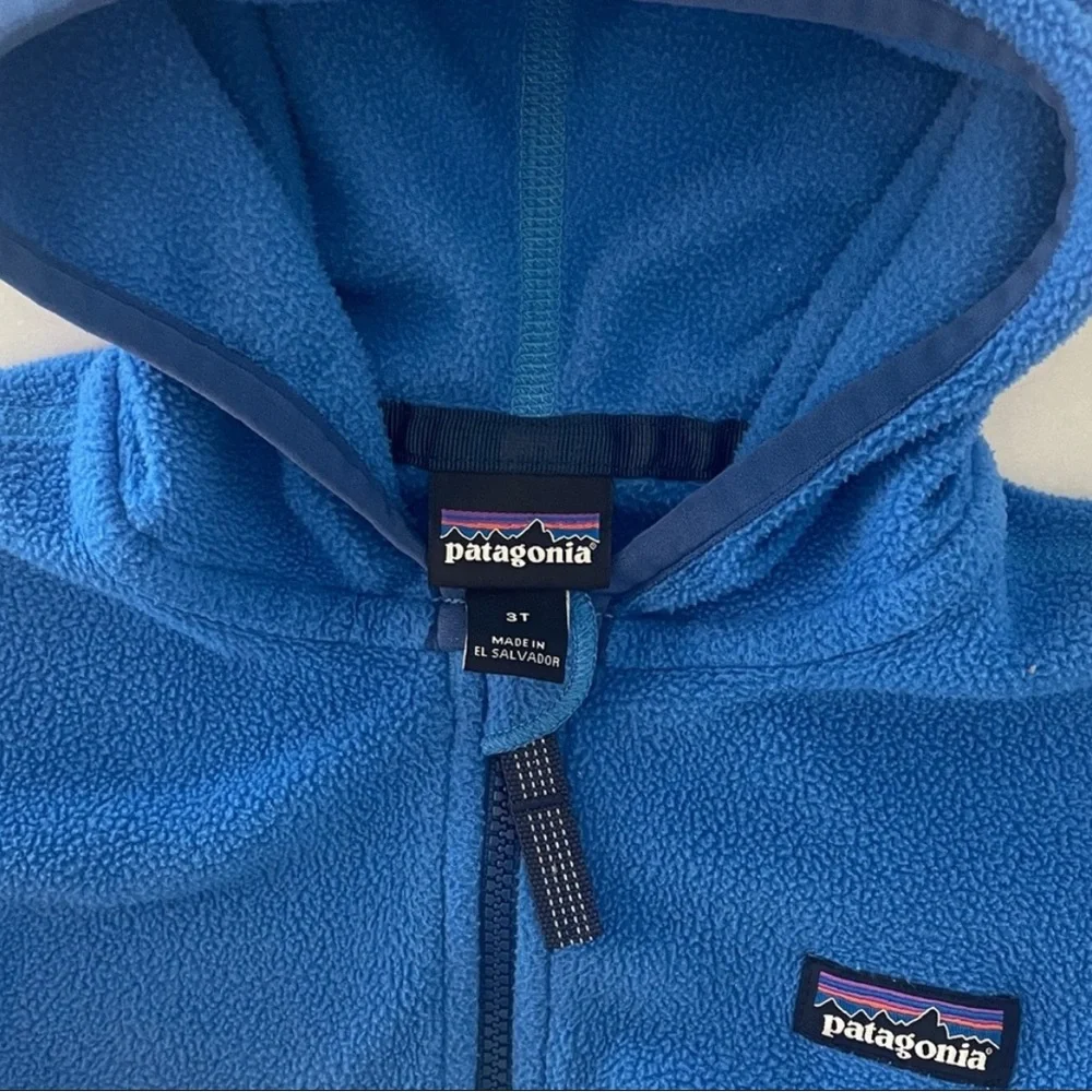 Patagonia Toddler Fleece Jacket 3T